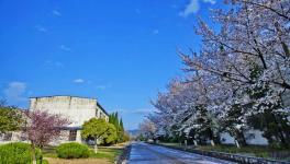 海螺寧國(guó)水泥廠環(huán)境優(yōu)美吸引新人拍攝婚紗