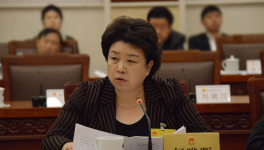 兩會時間 何曄暉代表談發(fā)展實體經(jīng)濟(jì)要把老板留住