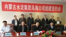 冬去春來，水泥企業(yè)“抱團取暖”，是要干啥