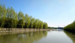 南方水泥海河聯(lián)運(yùn)一期項(xiàng)目8月將正式投產(chǎn)