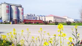 安徽海螺業(yè)績(jī)向好 今年豐收在望