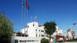 南非林波波省塔巴茲姆比市的中國(guó)地標(biāo)曼巴水泥廠