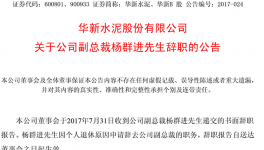 華新水泥副總裁楊群進辭職 曾任拉法基瑞安中國區(qū)CFO