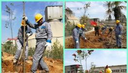 植樹(shù) | 第四十個(gè)植樹(shù)節(jié) 水泥人植樹(shù)忙