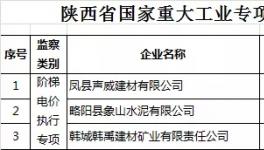 這一地區(qū)自5月10日起開(kāi)展為期6個(gè)月的重大節(jié)能專項(xiàng)監(jiān)察