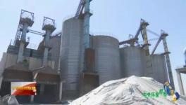 這家企業(yè)污染嚴(yán)重卻打著環(huán)?！按笃臁鄙a(chǎn)水泥