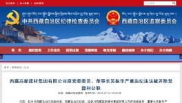 大搞權(quán)錢色交易!私分國有資產(chǎn)!這家水泥集團(tuán)原董事長被雙開!