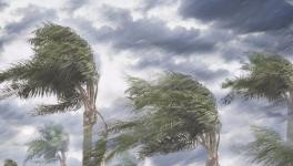 今后只有國企和外企有生存空間