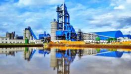 央視、人民日報一起為這家水泥廠點贊