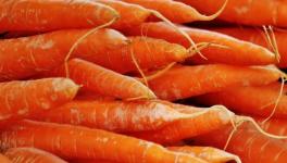 混凝土抗壓強(qiáng)度不夠？加點(diǎn)胡蘿卜！