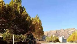 這家官司纏身的水泥企業(yè)或已被中聯(lián)水泥接手！