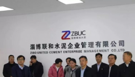 呂桂新：聯(lián)合水泥公司可推廣