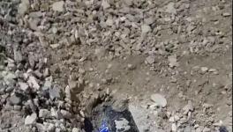 大貨車闖紅燈側(cè)翻!小車瞬間被埋!致3人死亡！