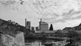 這一地區(qū)水泥龍頭企業(yè)華潤、海螺等喜獲佳績