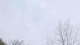 這家水泥廠破壞青山、污染環(huán)境何時(shí)休？