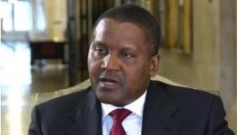 瘋狂！這個(gè)地區(qū)大搞建設(shè)！水泥賣(mài)到2000多元/噸！