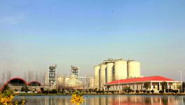 水泥行業(yè)“漲聲一片” 冀東、華新、萬年青等業(yè)績倍增