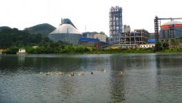 水泥人看過來，這里有家花園水泥廠！