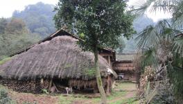 無化區(qū)來了！請(qǐng)不要妖魔化水泥廠