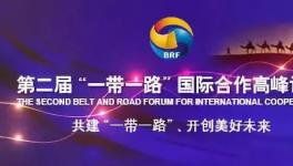 運管埃及10條線,一帶一路展雄風！