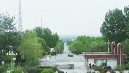 綠色生態(tài)，打造水泥廠最美四月天！