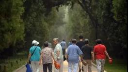 水泥行業(yè)將陷入到一個(gè)“可怕的陷阱”...