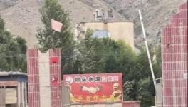 村民舉報(bào)：已關(guān)停許久的水泥廠又開始生產(chǎn)，粉塵污染嚴(yán)重