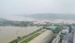 7人死亡9人失蹤！多省緊急發(fā)文！800多家水泥廠出貨量暴跌！