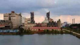 拉動(dòng)經(jīng)濟(jì)！解決就業(yè)！印尼各級(jí)政府高度贊賞海螺水泥！