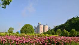 打造美麗礦區(qū)！叫響華新水平綠色品牌！