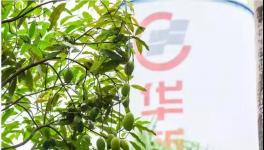 人與自然和諧相處！水泥廠迎來神秘訪客！