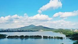 緊急通知！8月15日起推動(dòng)部分水泥企業(yè)退出！9月起實(shí)施階段性停產(chǎn)！