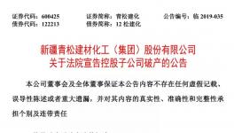 青松建化同意控股子公司申請破產(chǎn)并辦理注銷登記