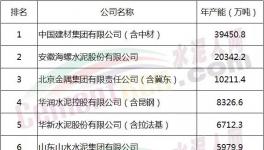 宋志平：不贊成壟斷 但希望水泥行業(yè)集中度再提高！