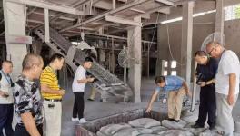 一間停產(chǎn)的水泥廠，竟然生產(chǎn)出了四個牌子的水泥？