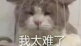 國(guó)慶節(jié)的催款心聲，讓數(shù)萬水泥人不再沉默！