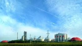 海螺水泥首個(gè)SCR脫硝項(xiàng)目曝光！排放指標(biāo)驚人！