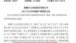 天山水泥子公司向法院申請破產(chǎn)清算并辦理注銷登記