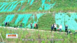 點(diǎn)贊！這一地區(qū)礦山生態(tài)環(huán)境恢復(fù)治理近200公頃！