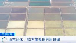 1噸海水超千元！廢料還能造水泥！