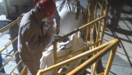 這家水泥企業(yè)用秸稈替代煤炭，一年節(jié)約2.07萬噸原煤