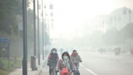 水泥停產(chǎn)！工地放假！物流停運(yùn)！“春運(yùn)”提前來(lái)了！