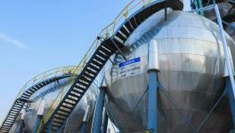 小水泥廠“逆襲”成世界五百?gòu)?qiáng)！這家水泥企業(yè)是如何做到的！