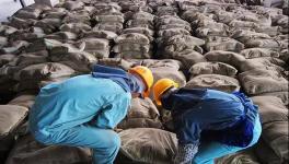 大事！砌筑32.5、P.P、P.F、P.S.A 32.5水泥全部取消！這個(gè)省動(dòng)真格！