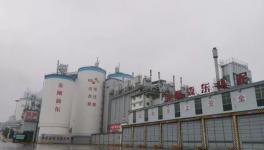 強(qiáng)手如林中拔得頭籌！這家水泥企業(yè)年利潤超3億元！