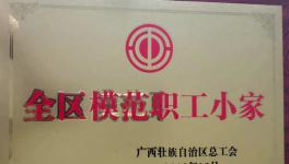 興業(yè)海螺質(zhì)量控制處工會(huì)小組榮獲“2019年全區(qū)模范職工小家”榮譽(yù)稱號(hào)