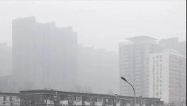 停工停產(chǎn)一個月！霧霾還是爆表！3000多家水泥企業(yè)“冤不冤”?