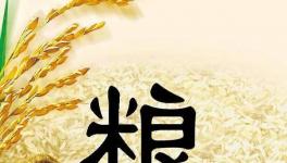 全球糧食市場異動，每個人都要提前應(yīng)對了！