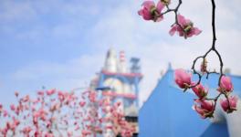 春色滿廠區(qū)，花園水泥廠來了！！