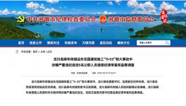 8死1傷事故，5名公職人員涉違紀(jì)被調(diào)查！